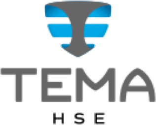 logo Tema Consulting